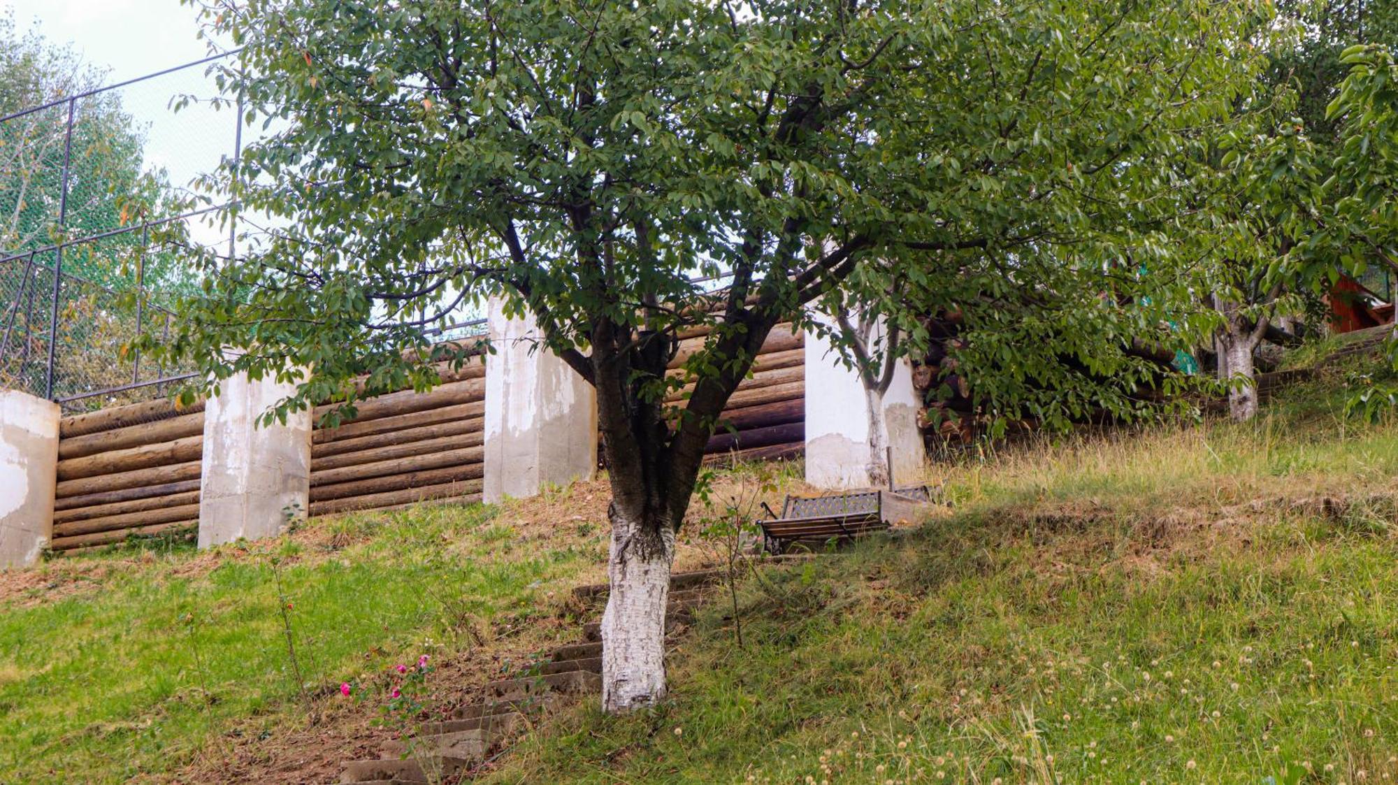 Marginimea Sibiului - Pensiunea Darian & David Orlat Exteriér fotografie