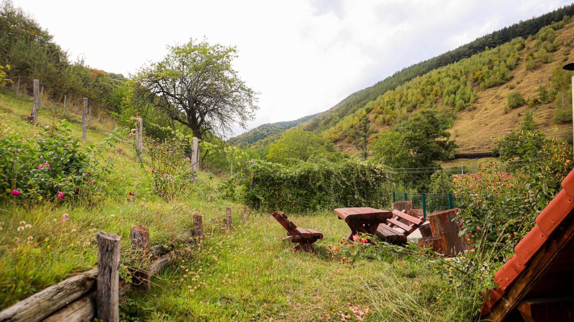 Marginimea Sibiului - Pensiunea Darian & David Orlat Exteriér fotografie