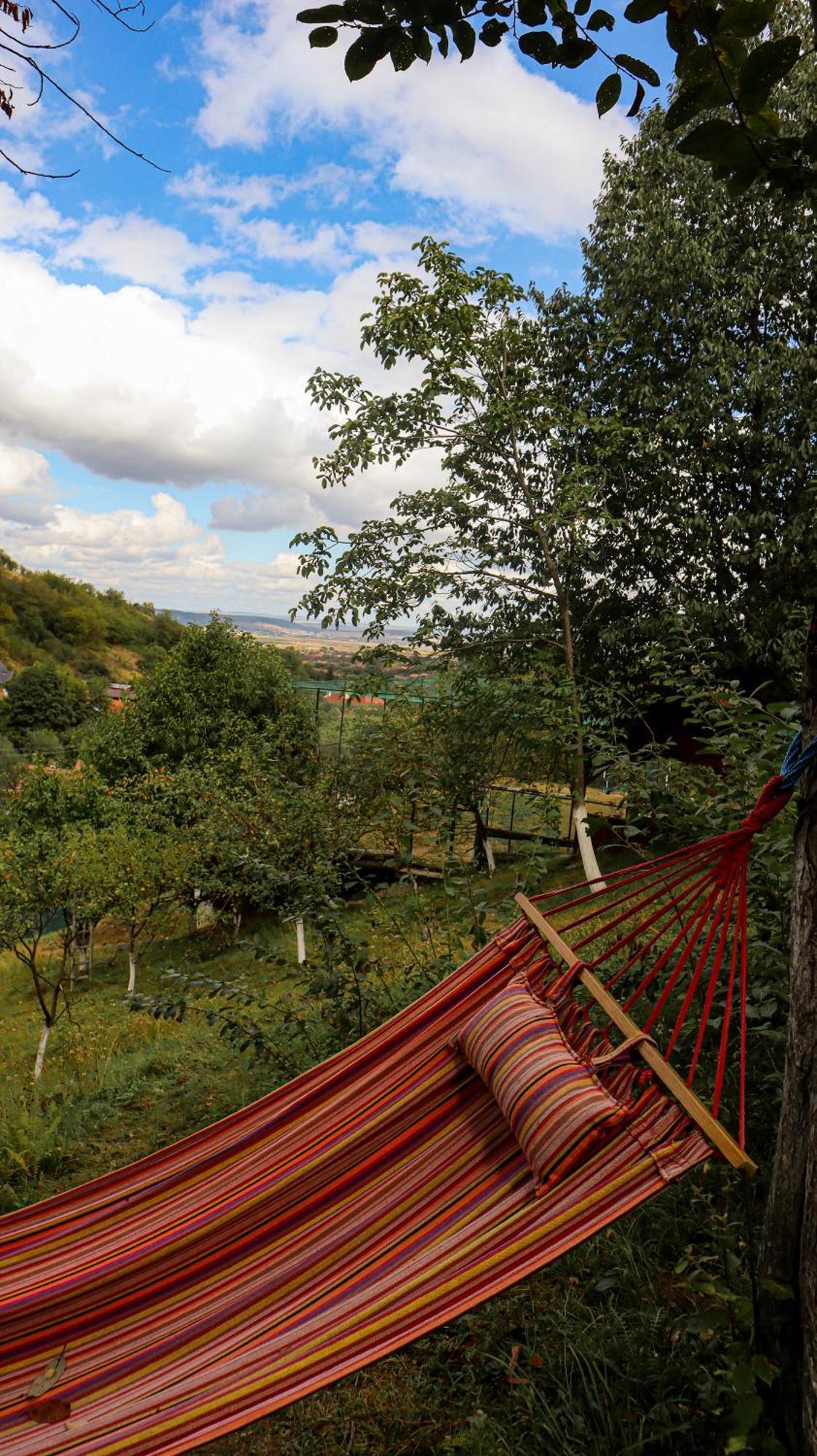 Marginimea Sibiului - Pensiunea Darian & David Orlat Exteriér fotografie