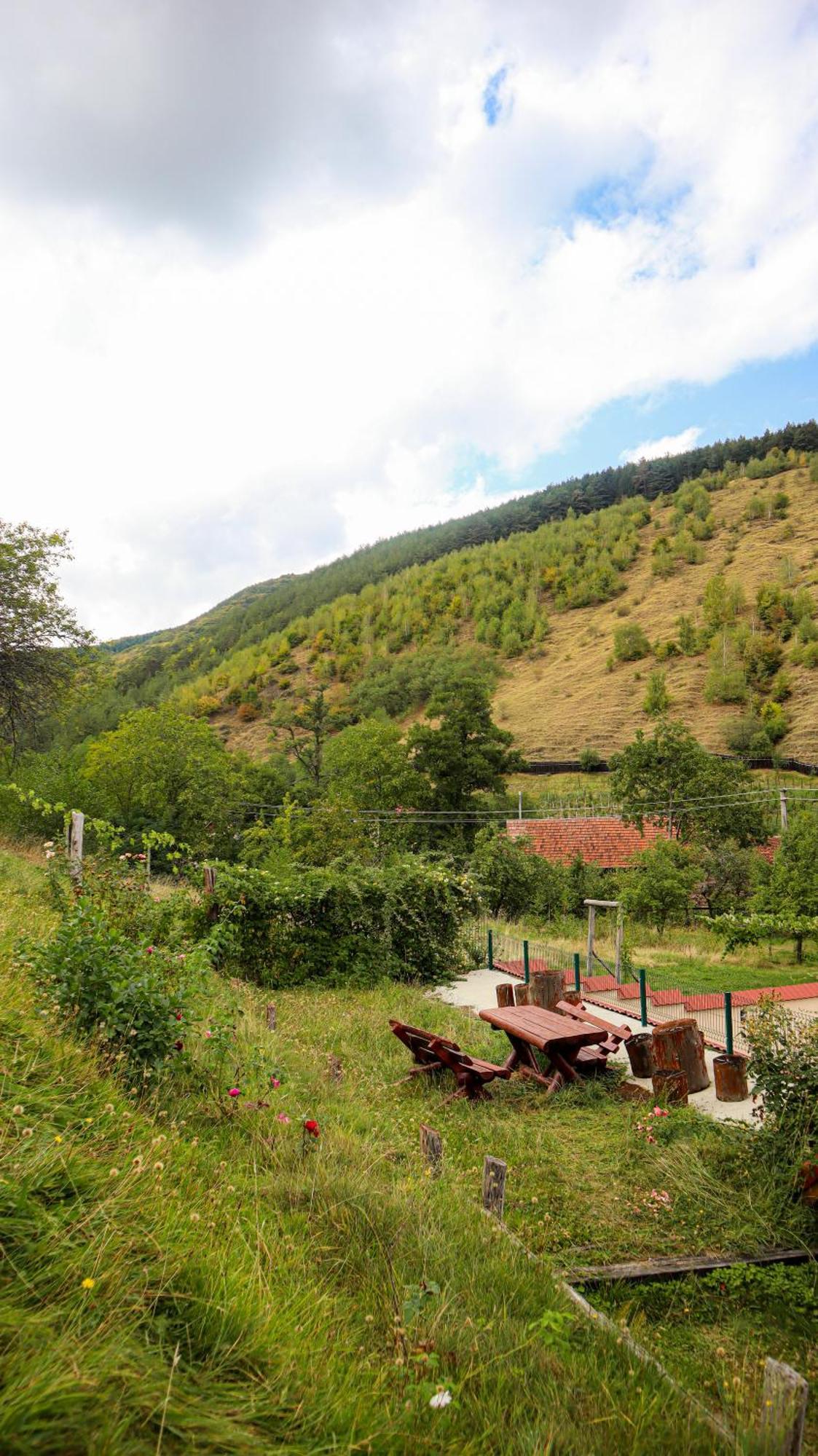 Marginimea Sibiului - Pensiunea Darian & David Orlat Exteriér fotografie
