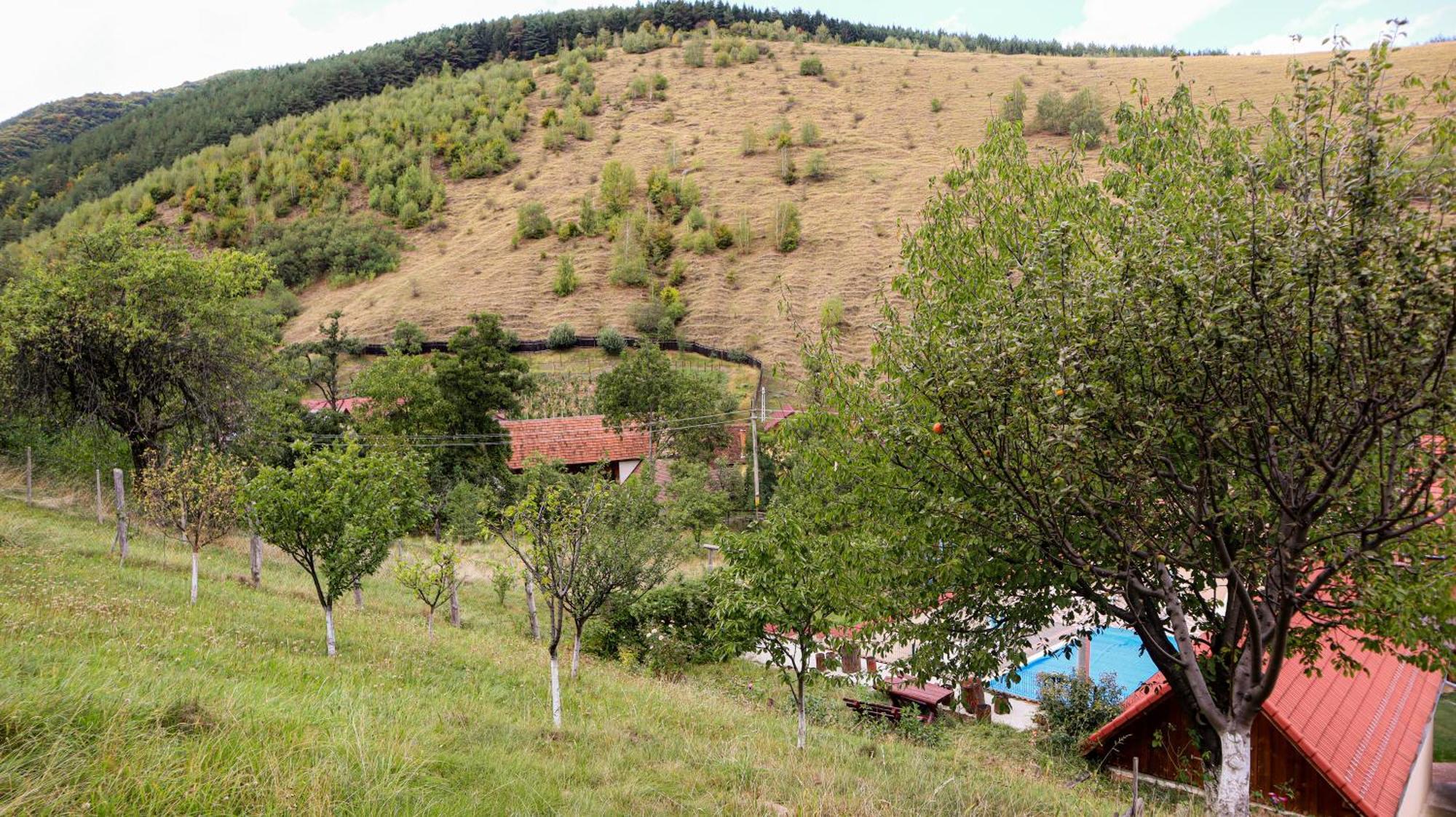 Marginimea Sibiului - Pensiunea Darian & David Orlat Exteriér fotografie