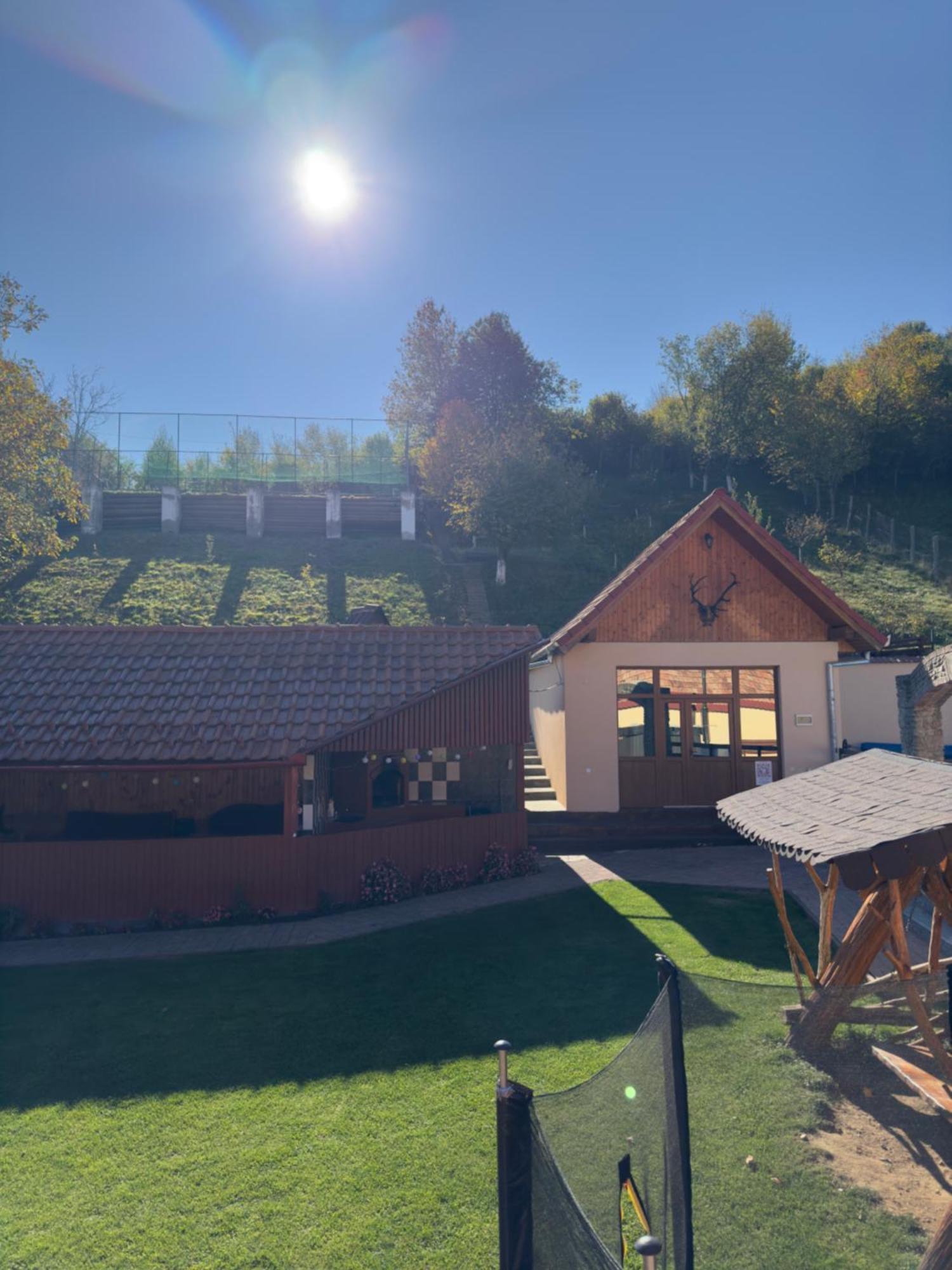 Marginimea Sibiului - Pensiunea Darian & David Orlat Exteriér fotografie